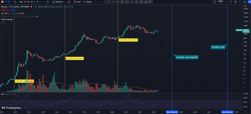 Bitcoin Halving Cycles on Chart