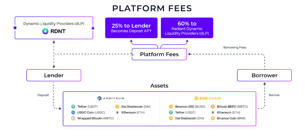 Radiant Capital Graph Showing Architecture of the Radiant Coin