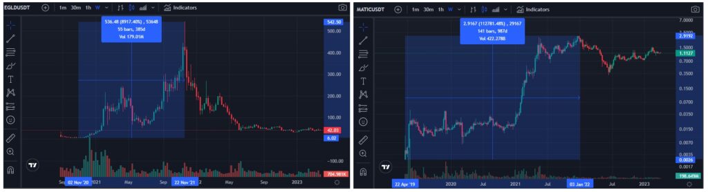 Find-crypot-gems-bear-market-strategy-EGLD-and-MATIC-examples