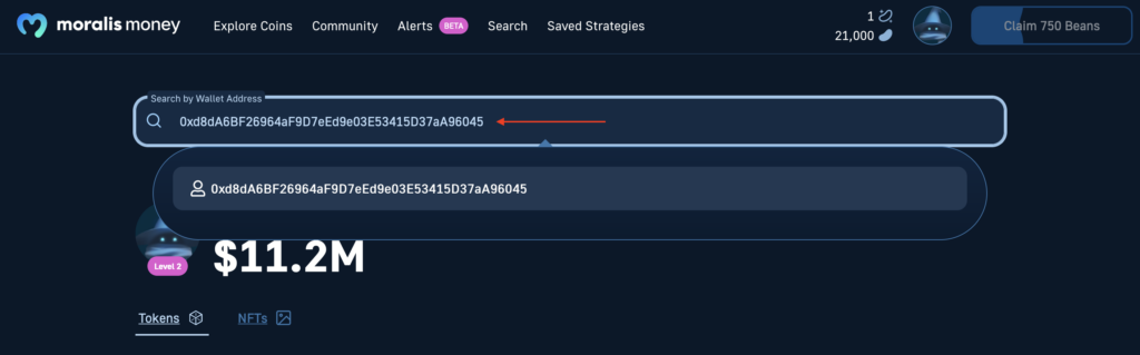 wallet address search page