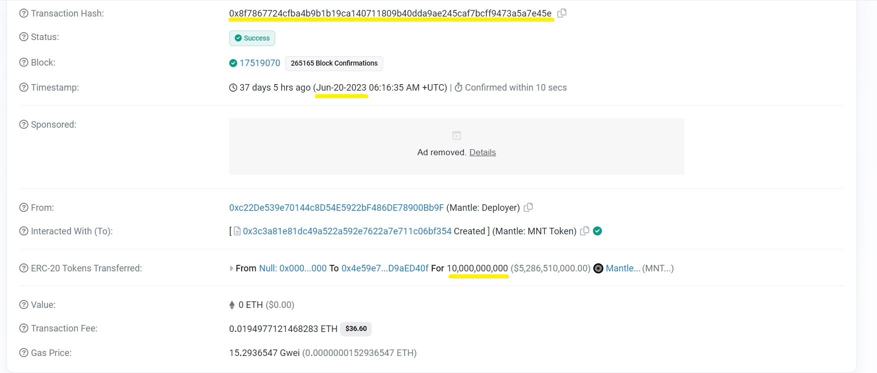 MNT-Coin-minting-transaction