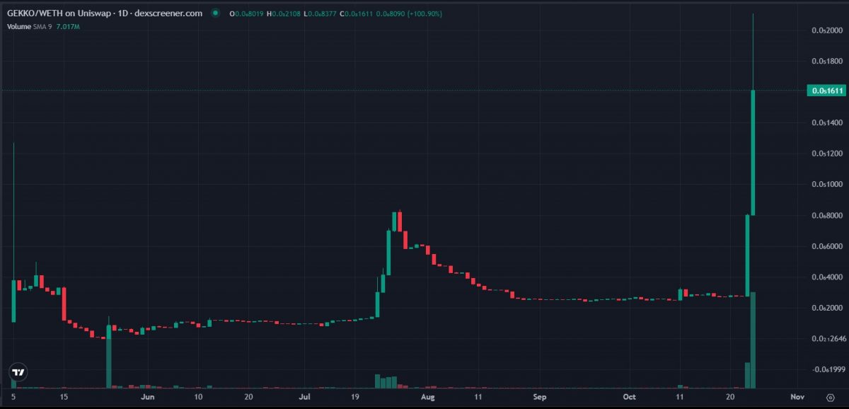 daily GEKKO coin price chart