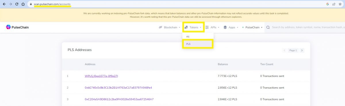 PulseChain explorer landing page